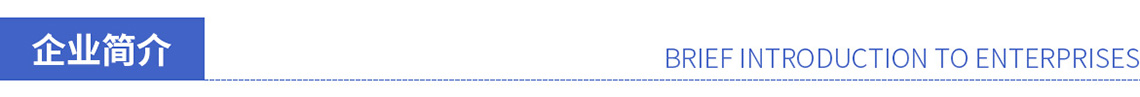 企業(yè)簡介標題