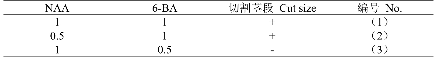 組培室設(shè)計