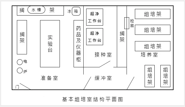 組培室建設(shè)