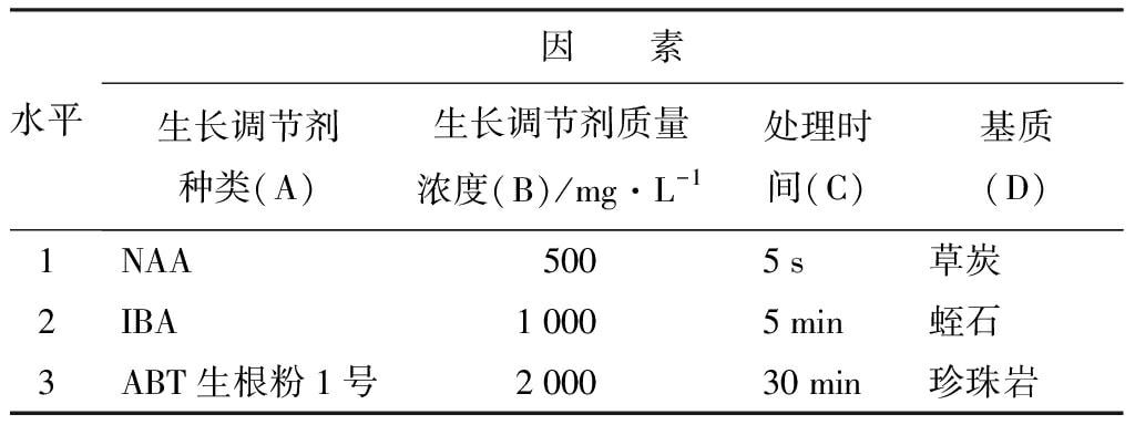 培養(yǎng)架